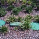 Septic System Design in Brooksville, Florida